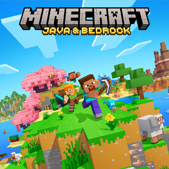 Image du jeu Minecraft